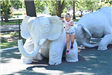 Little girl on Animaland elephants
